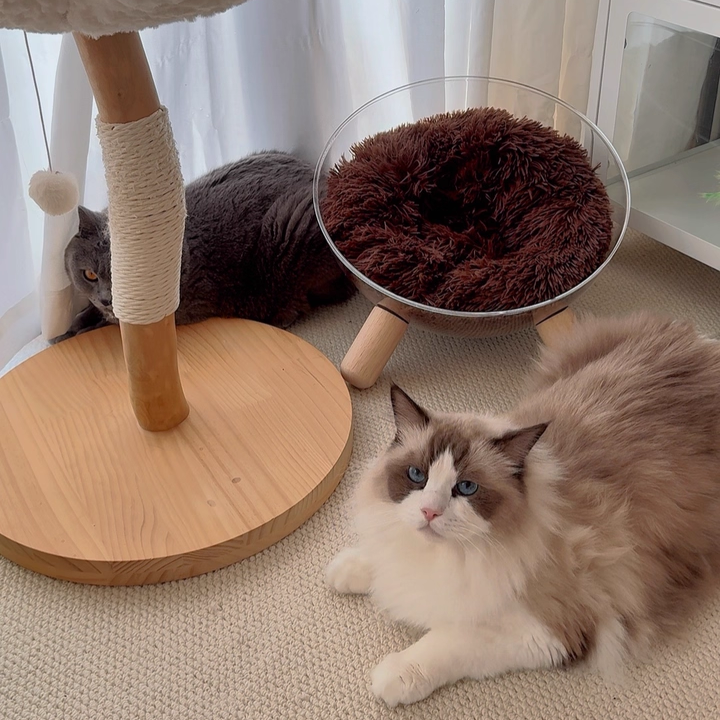 Contemporary Scandinavian Round Rubberwood PET Iron Clear Cat Bed For Bedroom Cuvalon