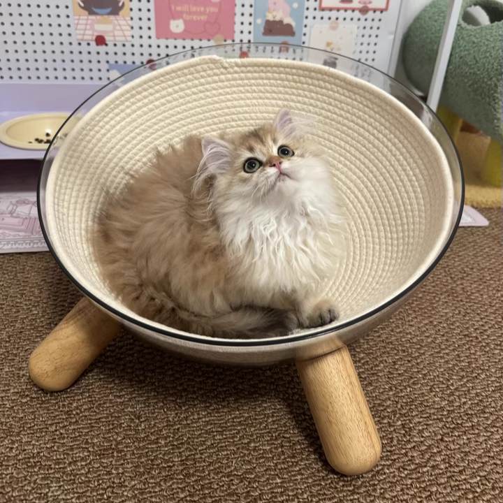 Contemporary Scandinavian Round Rubberwood PET Iron Clear Cat Bed For Bedroom Cuvalon