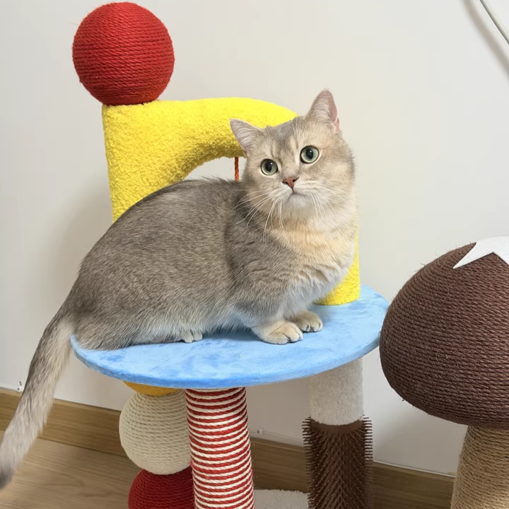 Contemporary Creative Round Medium-Density Fiberboard Velvet Fabric Hemp Rope Paper Tube Cat Tree 2-Tier For Living Room Cuvalon