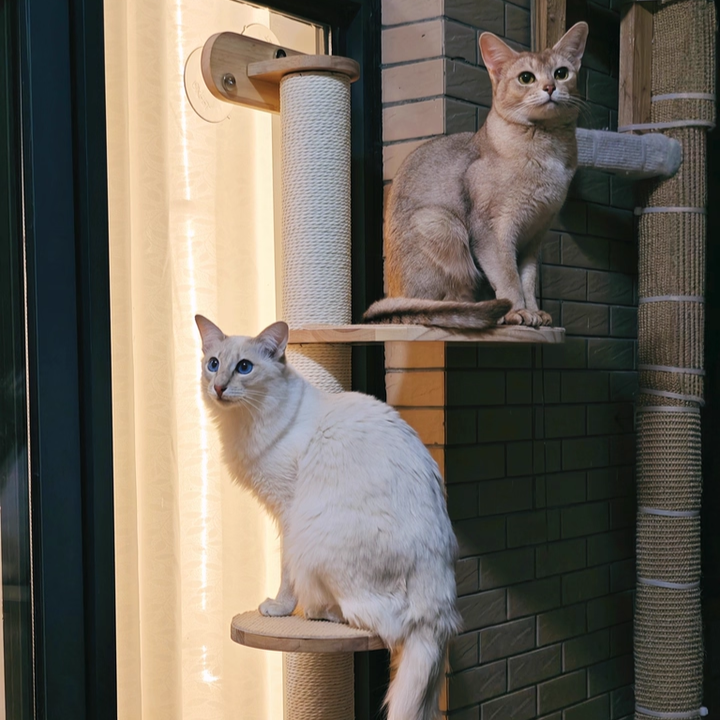 Contemporary Scandinavian Round Rubberwood Solid Wood Kraft Paper Rope Cat Tree 3-Tier For Living Room Cuvalon
