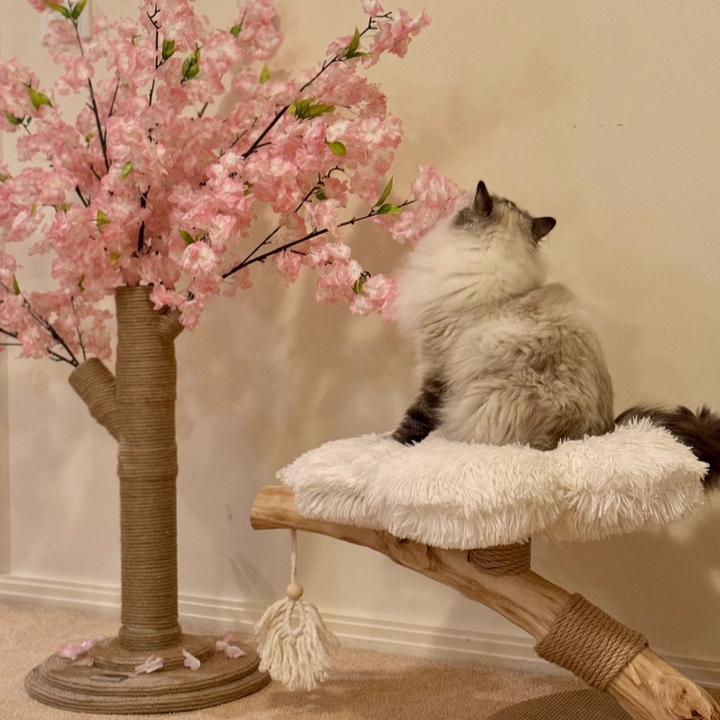 Contemporary Scandinavian Round Particleboard Natural Fruitwood Velvet Fabric Hemp Rope Cat Tree 2-Tier For Living Room Cuvalon