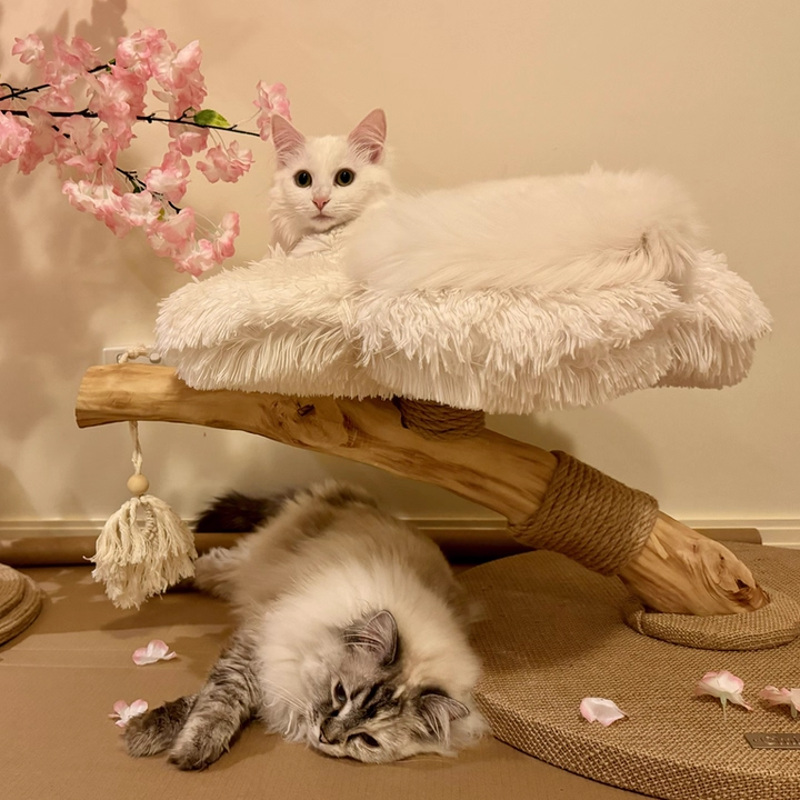 Contemporary Scandinavian Round Particleboard Natural Fruitwood Velvet Fabric Hemp Rope Cat Tree 2-Tier For Living Room Cuvalon