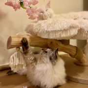 Contemporary Scandinavian Round Particleboard Natural Fruitwood Velvet Fabric Hemp Rope Cat Tree 2-Tier For Living Room Cuvalon