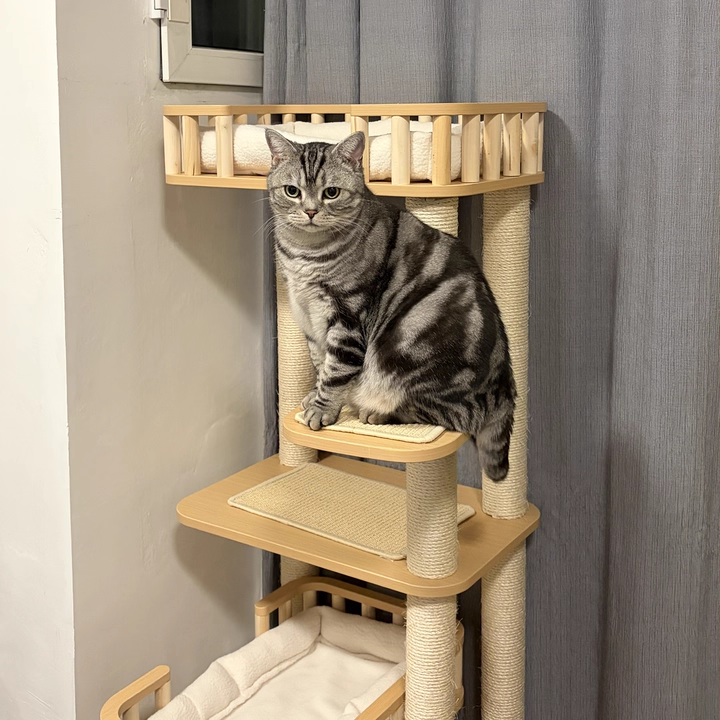 Contemporary Scandinavian Square Multi-Layer Solid Wood Panel Velvet Fabric Sisal Cat Tree 4-Tier For Living Room Cuvalon