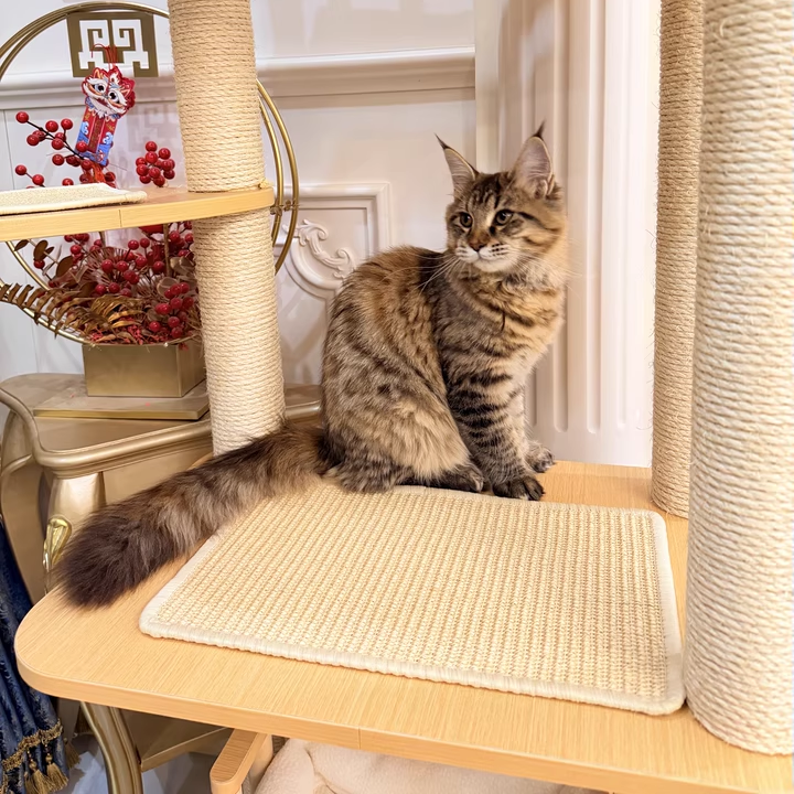 Contemporary Scandinavian Square Multi-Layer Solid Wood Panel Velvet Fabric Sisal Cat Tree 4-Tier For Living Room Cuvalon