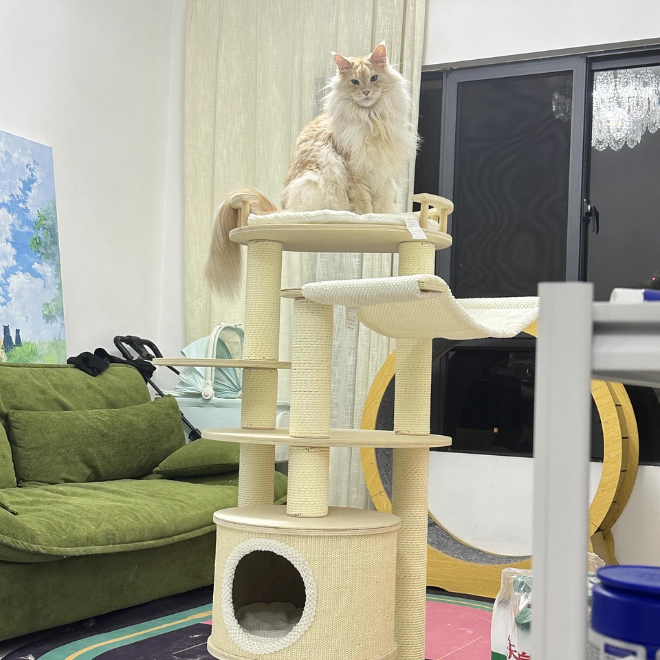 Contemporary Scandinavian Round Multi-Layer Solid Wood Panel Particleboard Fiberboard Velvet Fabric Paper Rope Paper Tube Cat Tree 5-Tier For Living Room Cuvalon