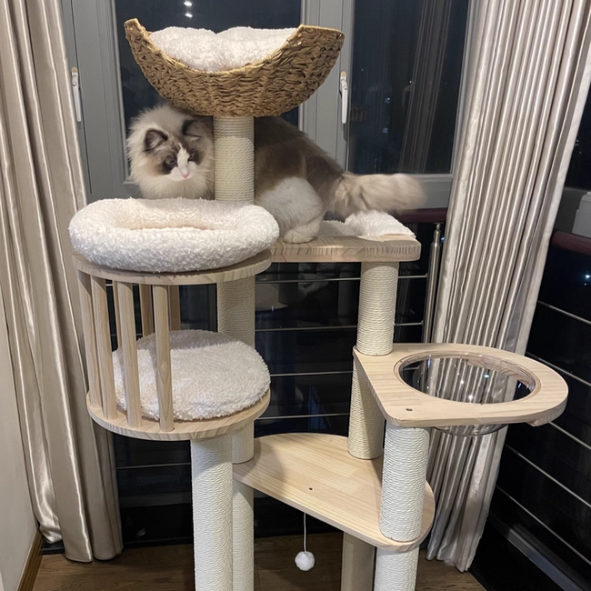Contemporary Scandinavian Round Solid Pine Wood Faux Rattan Velvet Fabric Kraft Paper Rope Cat Tree 5-Tier For Living Room Cuvalon