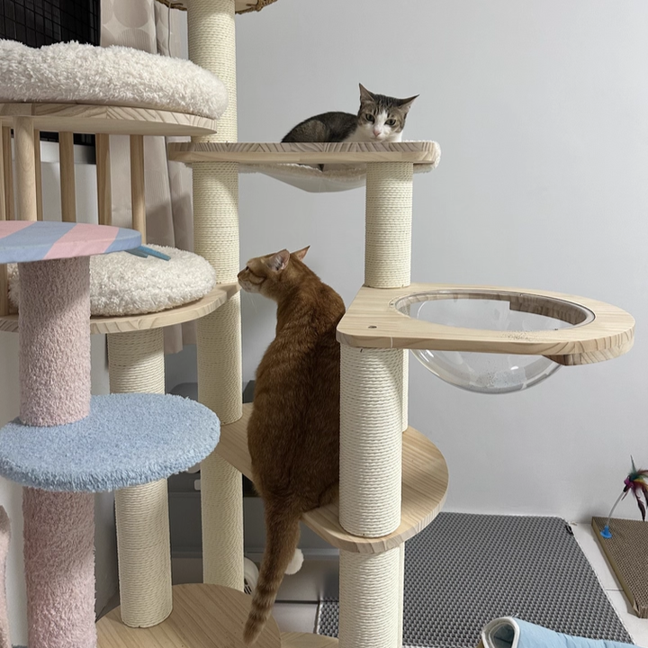 Contemporary Scandinavian Round Solid Pine Wood Faux Rattan Velvet Fabric Kraft Paper Rope Cat Tree 5-Tier For Living Room Cuvalon