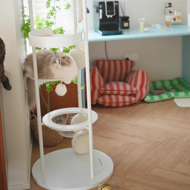 Contemporary Scandinavian Round Solid Pine Wood Medium-Density Fiberboard Iron Sisal Acrylic Cat Tree 5-Tier For Living Room Cuvalon
