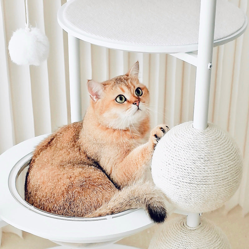 Contemporary Scandinavian Round Solid Pine Wood Medium-Density Fiberboard Iron Sisal Acrylic Cat Tree 5-Tier For Living Room Cuvalon