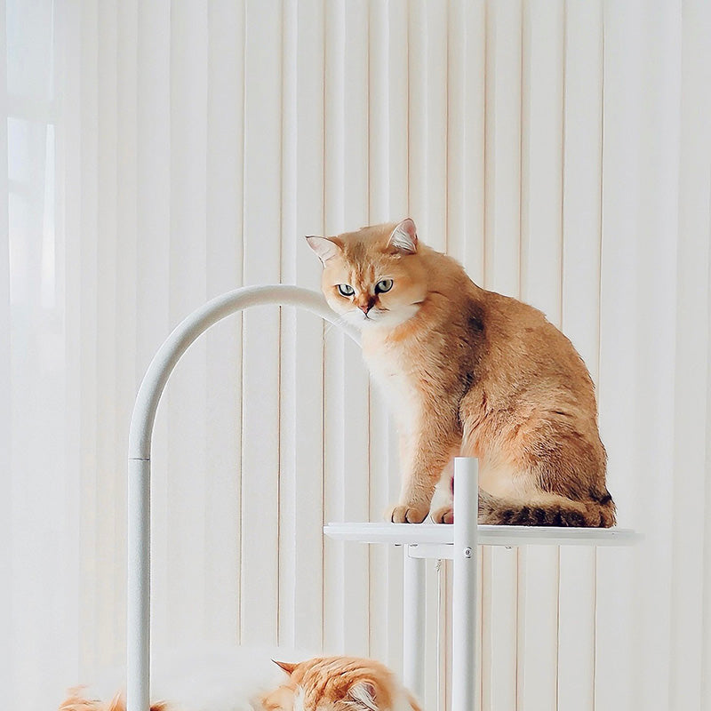 Contemporary Scandinavian Round Solid Pine Wood Medium-Density Fiberboard Iron Sisal Acrylic Cat Tree 5-Tier For Living Room Cuvalon
