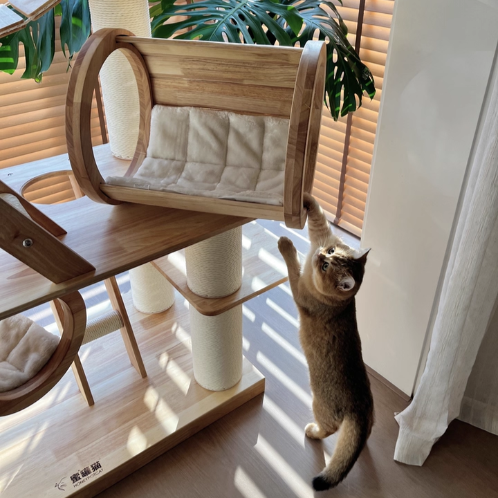 Contemporary Scandinavian Rectangular Solid Wood Panel Multi-Layer Solid Wood Panel Paper Tube Paper Rope Velvet Fabric Acrylic Large Cat Tree 6-Tier For Living Room Cuvalon