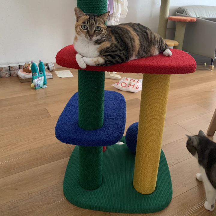 Contemporary Creative Rectangular Particleboard Corrugated Paper Sisal Jute EPS Cat Tree 2/3/4-Tier For Living Room Cuvalon