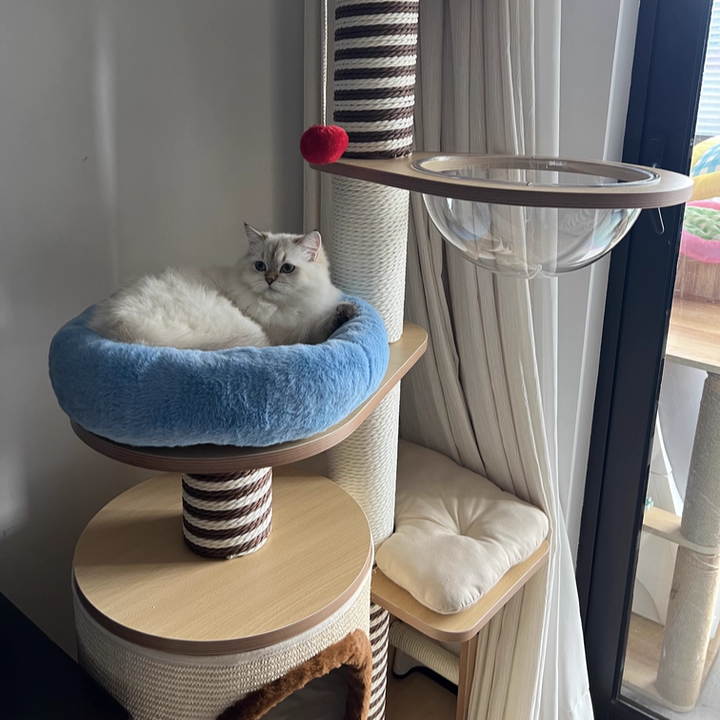 Contemporary Scandinavian Round Particleboard Velvet Fabric Paper Rope Paper Tube Cat Tree 5-Tier For Living Room Cuvalon