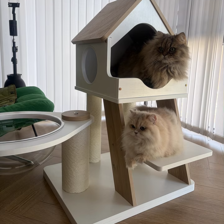 Contemporary Scandinavian Rectangular Plywood PVC Kraft Paper Rope Acrylic Cat Tree For Living Room Cuvalon