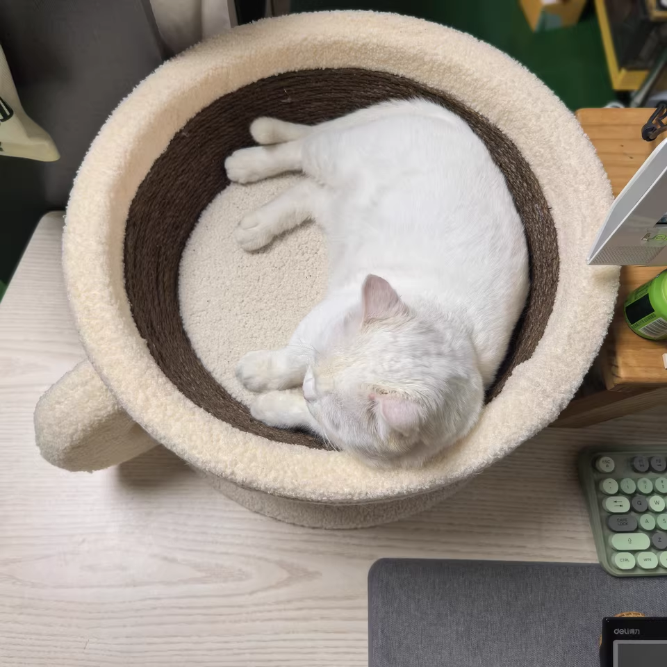 Contemporary Creative Round Medium-Density Fiberboard Velvet Fabric Sisal Coffee Cup Cat Bed For Bedroom Cuvalon