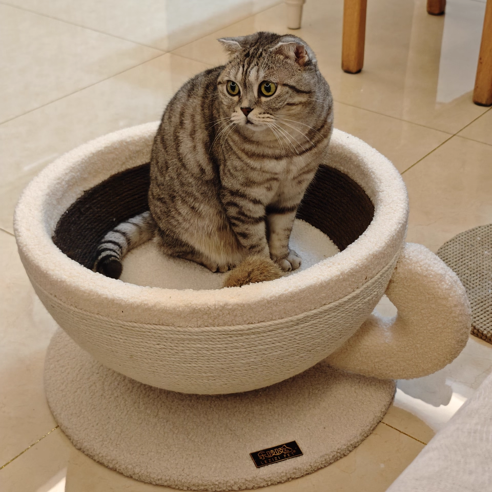 Contemporary Creative Round Medium-Density Fiberboard Velvet Fabric Sisal Coffee Cup Cat Bed For Bedroom Cuvalon