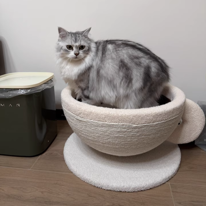 Contemporary Creative Round Medium-Density Fiberboard Velvet Fabric Sisal Coffee Cup Cat Bed For Bedroom Cuvalon