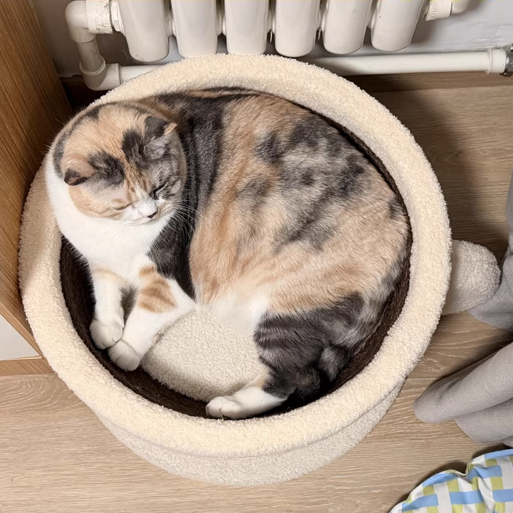 Contemporary Creative Round Medium-Density Fiberboard Velvet Fabric Sisal Coffee Cup Cat Bed For Bedroom Cuvalon