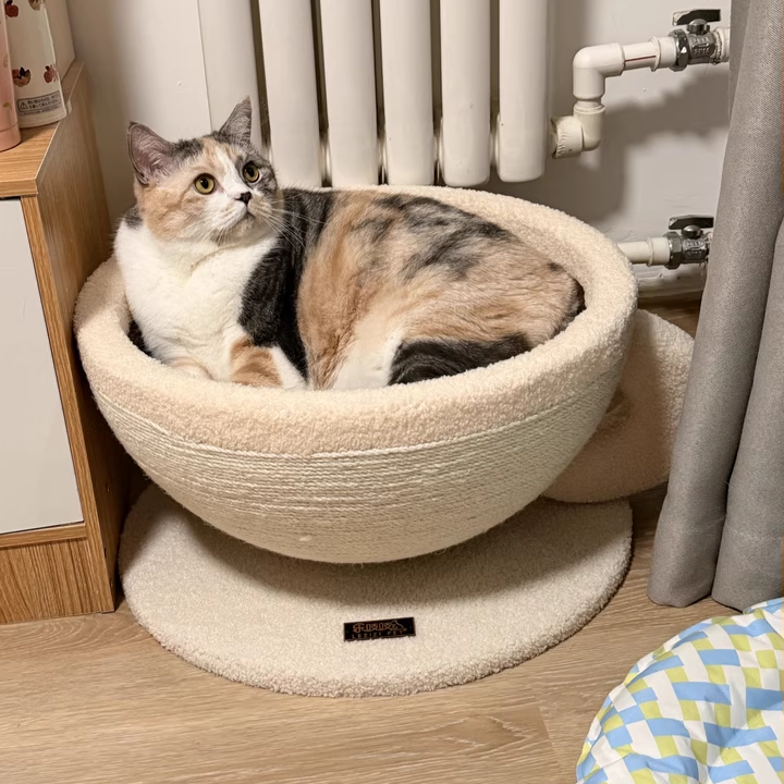 Contemporary Creative Round Medium-Density Fiberboard Velvet Fabric Sisal Coffee Cup Cat Bed For Bedroom Cuvalon