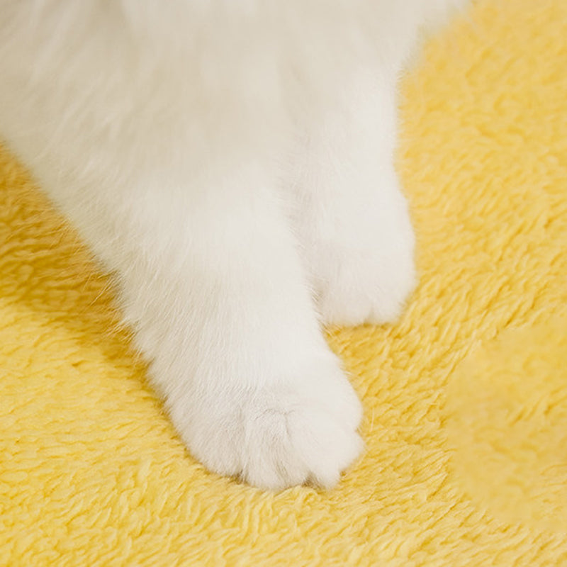 Contemporary Creative Square Velvet Corduroy PP Cotton Drip-Plastic Fabric Handheld Cat Bed For Bedroom Cuvalon