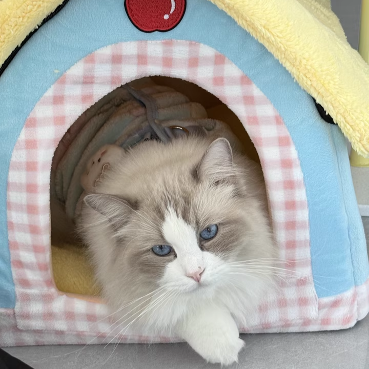 Contemporary Creative Square Velvet Corduroy PP Cotton Drip-Plastic Fabric Handheld Cat Bed For Bedroom Cuvalon