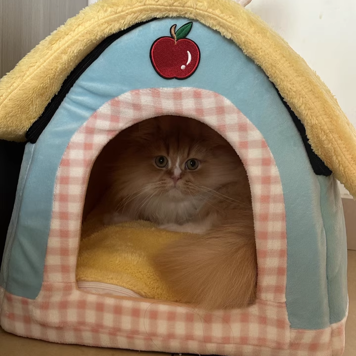 Contemporary Creative Square Velvet Corduroy PP Cotton Drip-Plastic Fabric Handheld Cat Bed For Bedroom Cuvalon