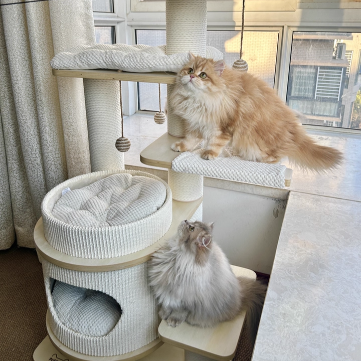 Contemporary Scandinavian Rectangular Plywood Fiberboard Paper Rope Paper Tube Corduroy Cat Tree 5-Tier For Bedroom Cuvalon