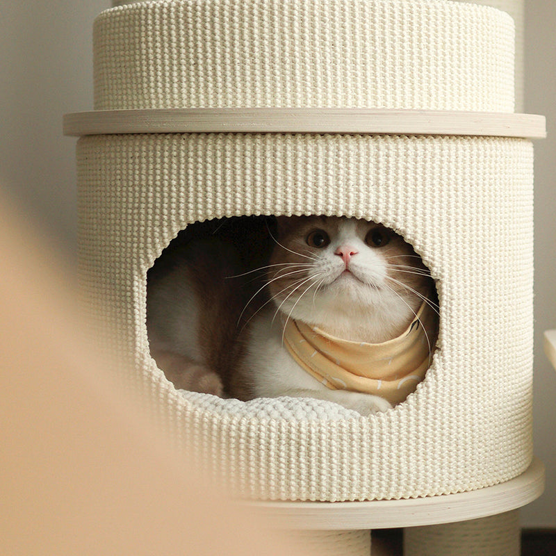 Contemporary Scandinavian Rectangular Plywood Fiberboard Paper Rope Paper Tube Corduroy Cat Tree 5-Tier For Bedroom Cuvalon