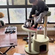 Contemporary Creative Round Particleboard Velvet Fabric Sisal Watermelon Cat Tree 3-Tier For Bedroom Cuvalon