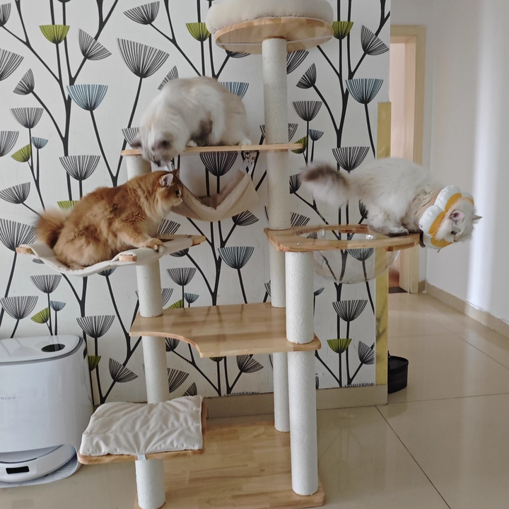 Contemporary Scandinavian Rectangular Rubberwood Pine Wood Pillar Corduroy Kraft Paper Rope Acrylic Cat Tree 5-Tier For Bedroom Cuvalon
