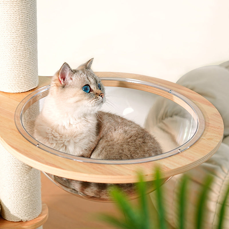 Contemporary Scandinavian Round E0-Grade Plywood Corduroy Hemp Rope Paper Tube Acrylic Cat Tree 5-Tier For Bedroom Cuvalon