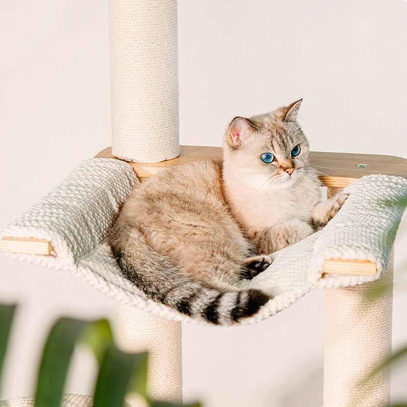 Contemporary Scandinavian Round E0-Grade Plywood Corduroy Hemp Rope Paper Tube Acrylic Cat Tree 5-Tier For Bedroom Cuvalon