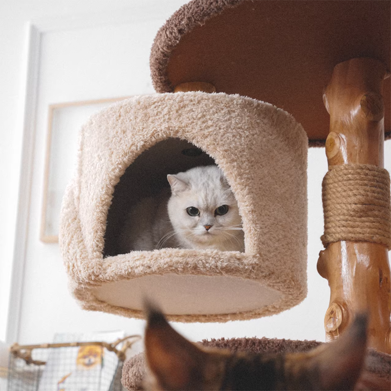 Contemporary Creative Round Particleboard Solid Wood Pillar Velvet Fabric Hemp Rope Cat Tree 6/7-Tier For Living Room Cuvalon