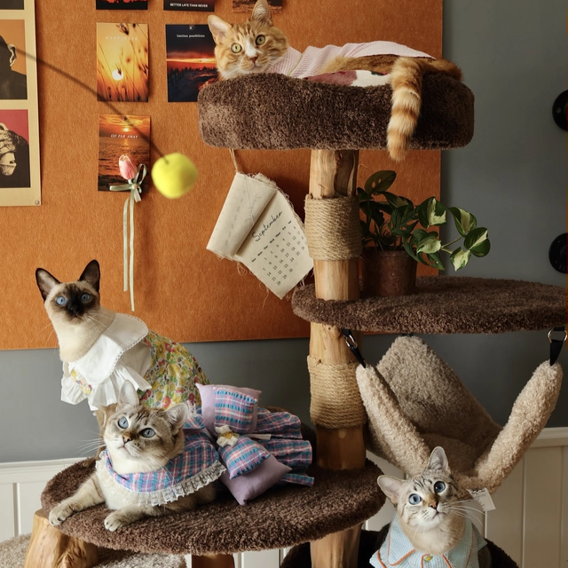 Contemporary Creative Round Particleboard Solid Wood Pillar Velvet Fabric Hemp Rope Cat Tree 6/7-Tier For Living Room Cuvalon