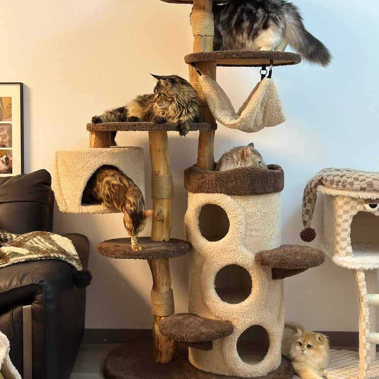 Contemporary Creative Round Particleboard Solid Wood Pillar Velvet Fabric Hemp Rope Cat Tree 6/7-Tier For Living Room Cuvalon