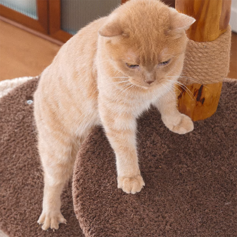 Contemporary Creative Round Particleboard Solid Wood Pillar Velvet Fabric Hemp Rope Cat Tree 6/7-Tier For Living Room Cuvalon