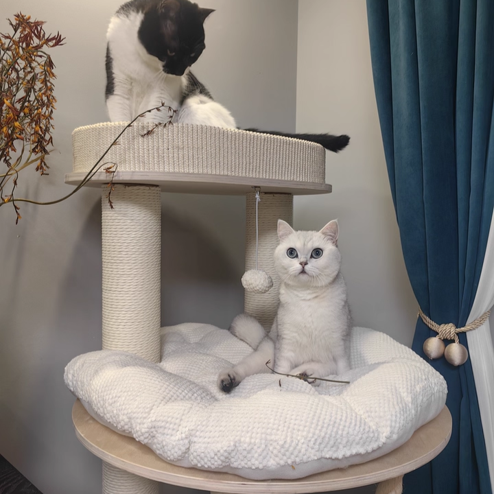 Contemporary Scandinavian Round Plywood Velvet Fabric Paper Rope Sisal Acrylic Cat Tree 6-Tier For Living Room Cuvalon