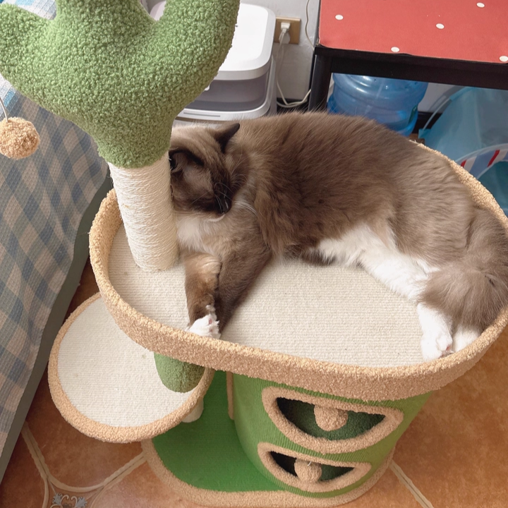 Contemporary Creative Round Particleboard Velvet Fabric Sisal Paper Tube Cactus Cat Tree & Condo 2-Condo 1-Perch For Bedroom Cuvalon