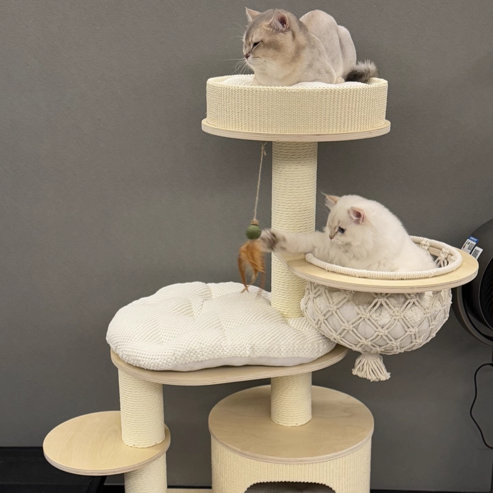 Contemporary Scandinavian Round Plywood Paper Rope Sisal Velvet Fabric Cat Tree & Condo 2-Condo 2-Perch For Bedroom Cuvalon