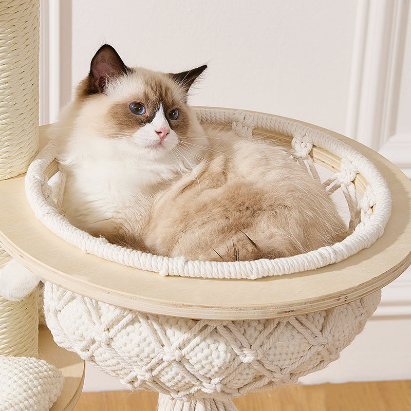 Contemporary Scandinavian Round Plywood Paper Rope Sisal Velvet Fabric Cat Tree & Condo 2-Condo 2-Perch For Bedroom Cuvalon