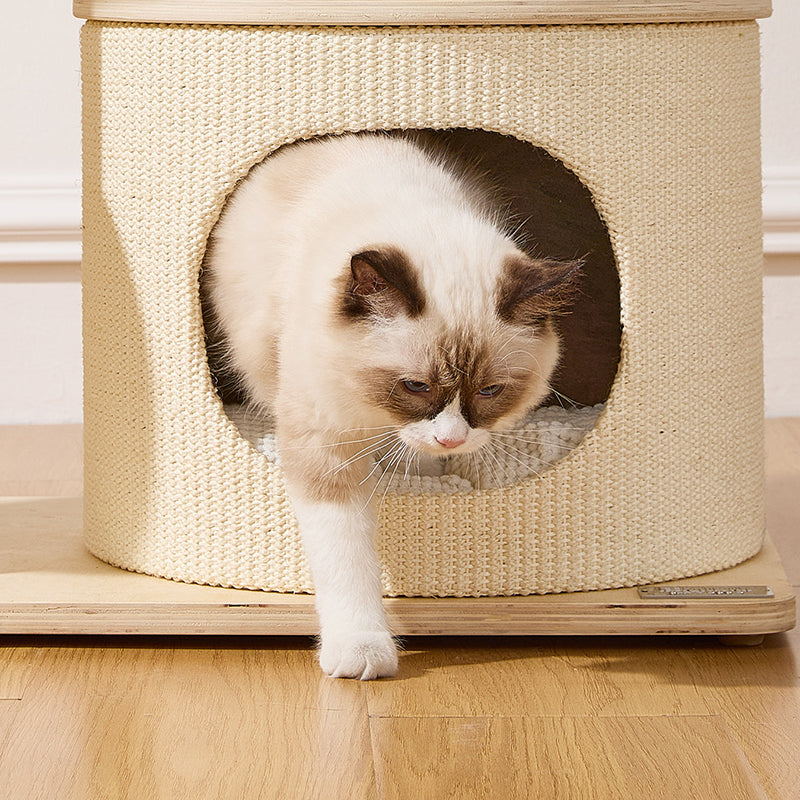 Contemporary Scandinavian Round Plywood Paper Rope Sisal Velvet Fabric Cat Tree & Condo 2-Condo 2-Perch For Bedroom Cuvalon