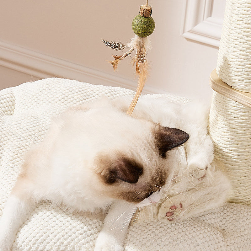 Contemporary Scandinavian Round Plywood Paper Rope Sisal Velvet Fabric Cat Tree & Condo 2-Condo 2-Perch For Bedroom Cuvalon