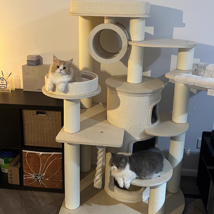 Contemporary Scandinavian Round Plywood Particleboard Paper Rope Velvet Fabric Cat Tree & Condo 3-Condo 5-Perch For Bedroom Cuvalon