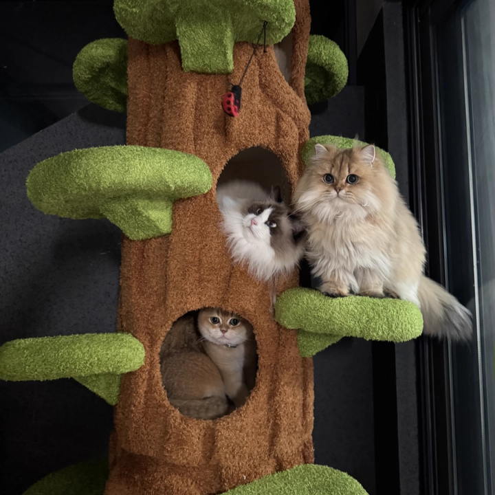 Contemporary Creative Round Particleboard Medium-Density Fiberboard Velvet Fabric Sisal Tree-Shape Cat Tree 6-Condo 12-Perch For Living Room Cuvalon