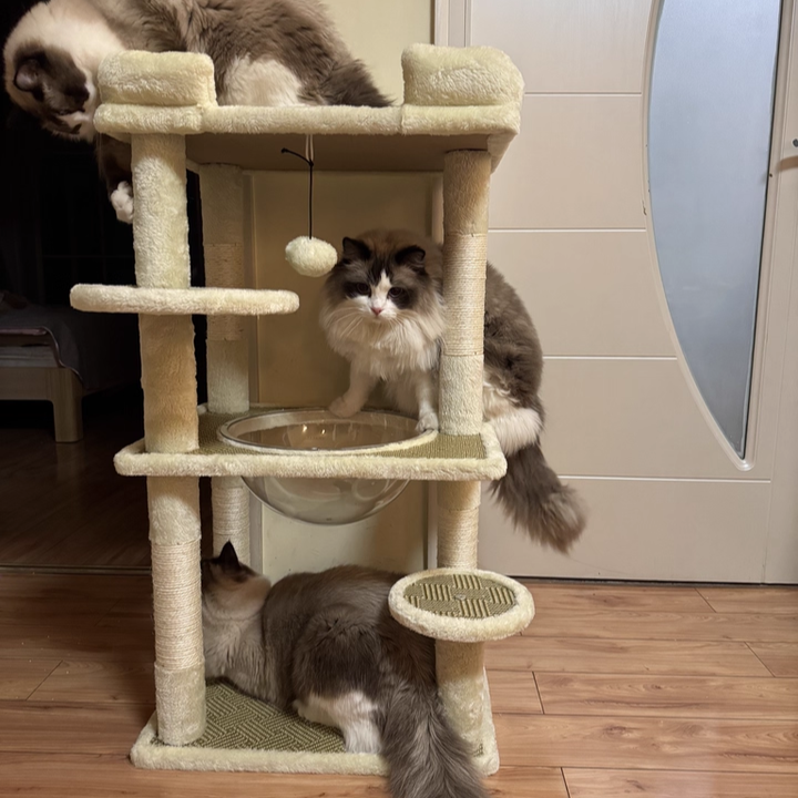 Contemporary Scandinavian Rectangular Particleboard Velvet Fabric Sisal Cat Tree 3-Perch For Bedroom Cuvalon