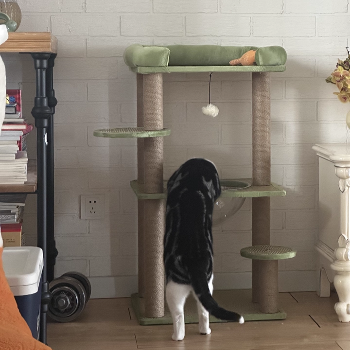 Contemporary Scandinavian Rectangular Particleboard Velvet Fabric Sisal Cat Tree 3-Perch For Bedroom Cuvalon