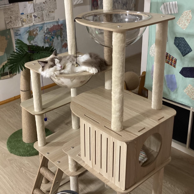 Contemporary Scandinavian Rectangular Medium-Density Fiberboard Velvet Fabric Hemp Rope Acrylic Cat Tree 3-Condo 4-Perch For Bedroom Cuvalon