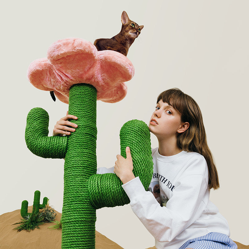 Contemporary Creative Round PVC Plastic Velvet Fabric Hemp Rope Cactus Cat Scratching Post 1-Condo 1-Perch For Bedroom Cuvalon