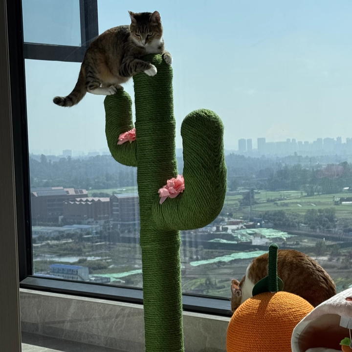 Contemporary Creative Round PVC Plastic Velvet Fabric Hemp Rope Cactus Cat Scratching Post 1-Condo 1-Perch For Bedroom Cuvalon